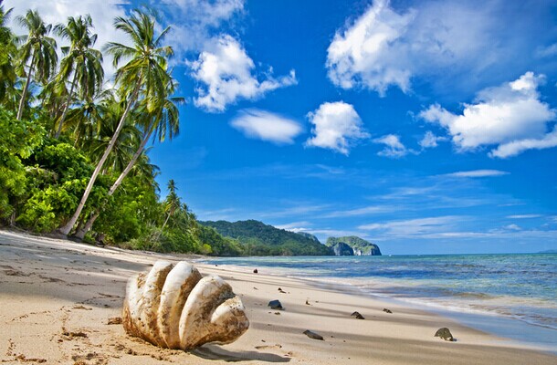 <em>梦见</em>别人身上有大便意味什么_周公解梦网