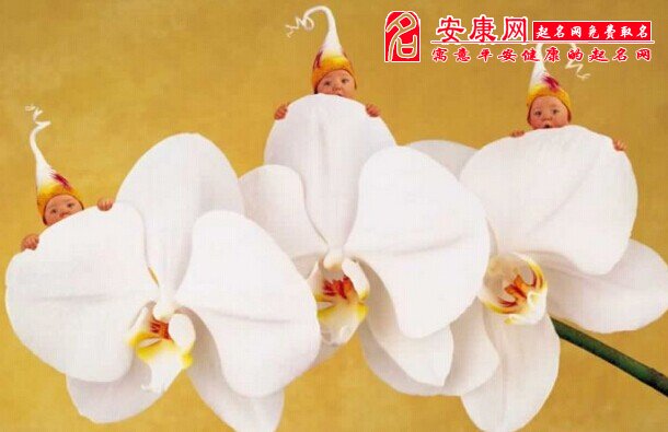 适合<em>马年男女宝宝</em>吉祥好<em>名字</em>_马宝宝起名<em>大全</em>