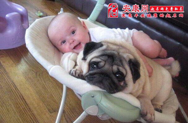 <em>女宝宝取名</em>借鉴方法_起名网<em>免费取名</em>