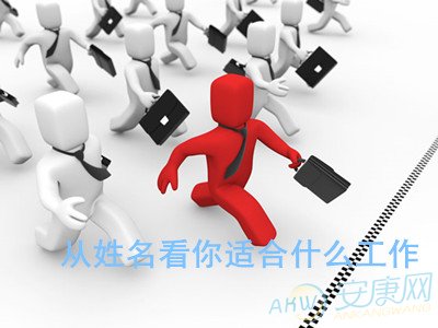 �����������ʺ�ʲô����