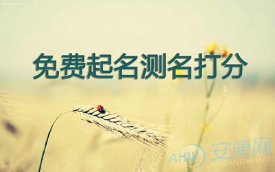 免费起名测名打分