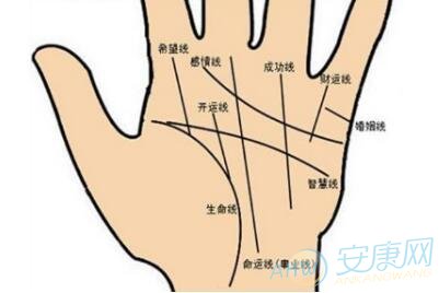 女人面相 男人面相 男人好桃花的手相 >> 男人面相   好男人手相图解